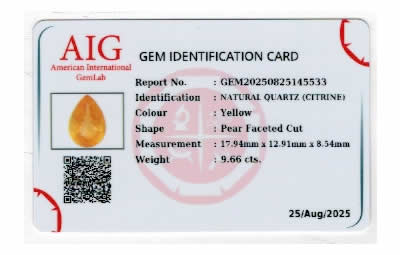 Gem Report