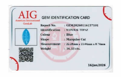 Gem Report