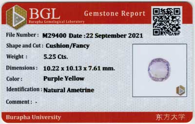 Gem Report