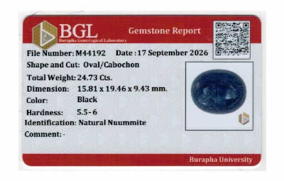 Gem Report