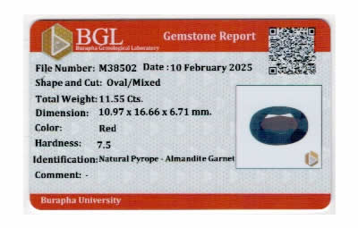 Gem Report