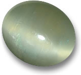 Actinolith Katzenauge