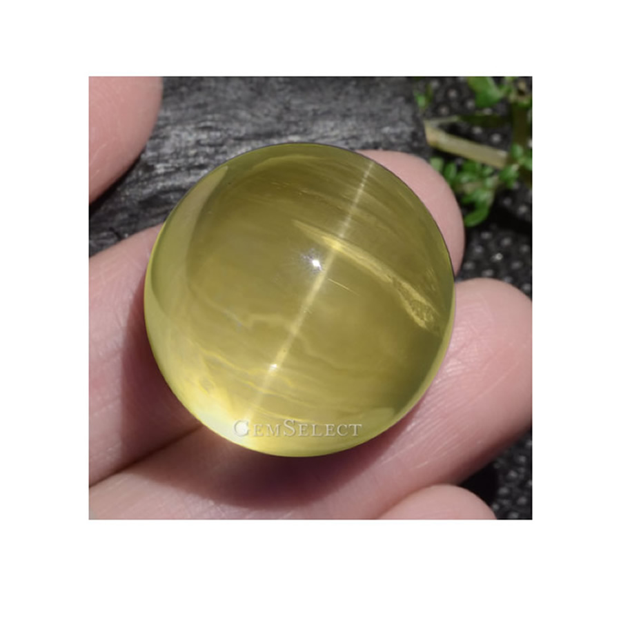 Katzenaugen-Apatit-Edelsteine von GemSelect - Großes Bild