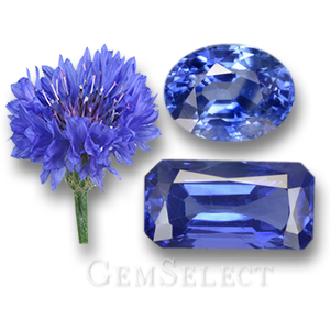 Kornblumen- und blaue Saphir-Edelsteine