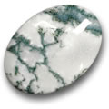 Multicolor Dendritic Agate Cabochon