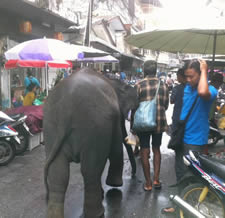 Gems Street – Thailändischer internationaler Markt