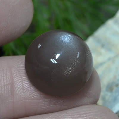 Mokka-Mondstein-Cabochon