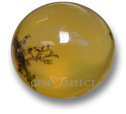 Moosopal-Edelsteine von GemSelect – Großes Bild