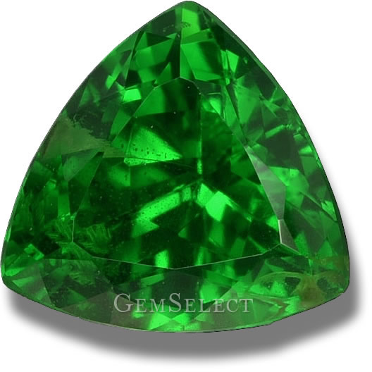 Ein Tsavorit-Granat-Edelstein von GemSelect - Großes Bild