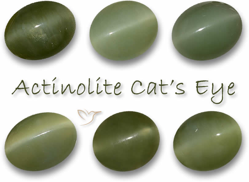 Natürliches Aktinolith-Katzenauge