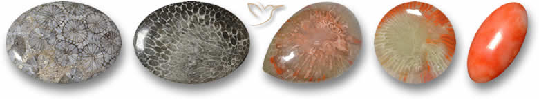 Koralle Edelsteine