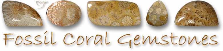 Fossile Korallenedelsteine
