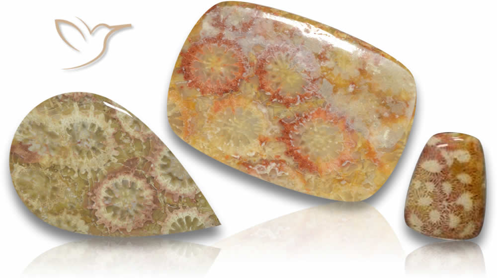 Fossile Korallen-Edelsteine