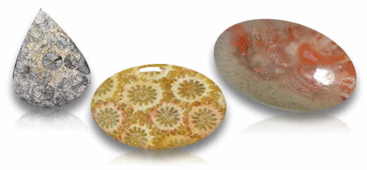 Korallen Edelsteine