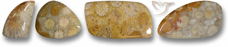 Seltsam geformte fossile Korallen-Edelsteine