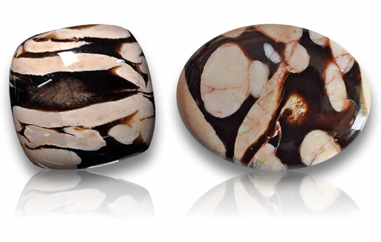 Shop Loose Peanut Wood - Fossilized Peanut Wood and Rare Petrified Specimens for Jewelry