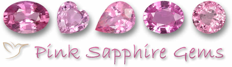 Rosa Saphir