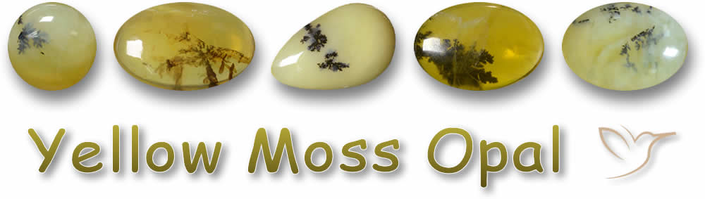 Gelbe Moosopal-Edelsteine kaufen