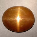 Stern Sonnenstein