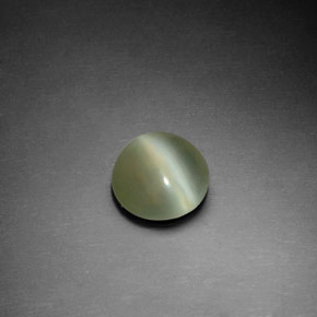 1,22 ctw natürlicher grüner Actinolite Cat's Eye, Rundschliff, Transparent