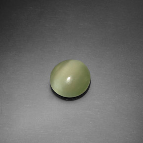 1,10 ctw natürlicher grüner Actinolite Cat's Eye, Rundschliff, Transparent