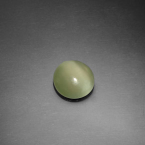 1,10 ctw natürlicher grüner Actinolite Cat's Eye, Rundschliff, Transparent