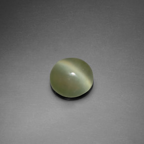 1,39 ctw natürlicher grüner Actinolite Cat's Eye, Rundschliff, Transparent