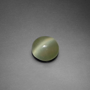 1,39 ctw natürlicher grüner Actinolite Cat's Eye, Rundschliff, Transparent