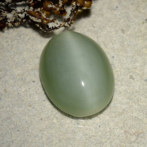 6.14ct Natürlicher Erdiges Grün Aktinolith Katzenauge, Oval, Lichtdurchlässig