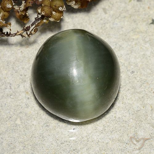 7.39ct Natürlicher Erdiges Grün Aktinolith Katzenauge, Runden, Lichtdurchlässig