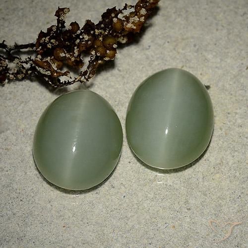 10,64 ct natürliche grüner Actinolite Cat's Eye-Edelsteine, Oval Schliff, Lichtdurchlässig