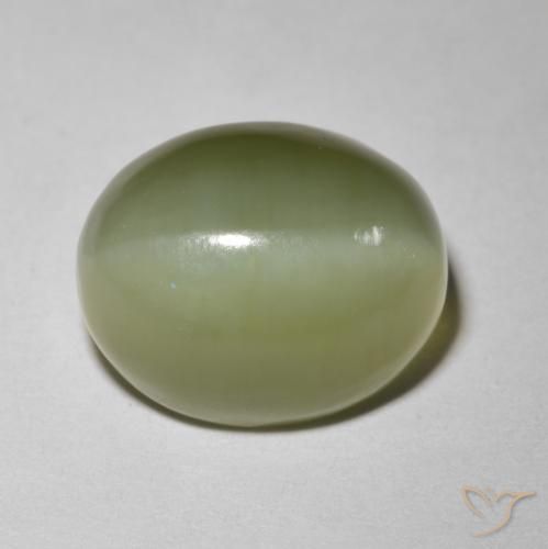 5.80ct Natürlicher Erdiges Grün Aktinolith Katzenauge, Oval, Lichtdurchlässig