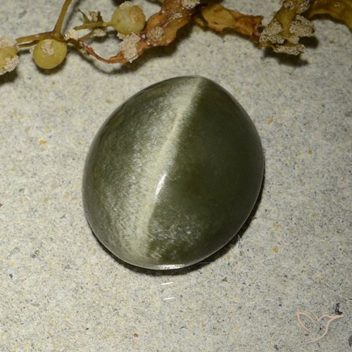 4.60ct Natürlicher bräunlich-grün Aktinolith Katzenauge, Oval, Lichtundurchlässig