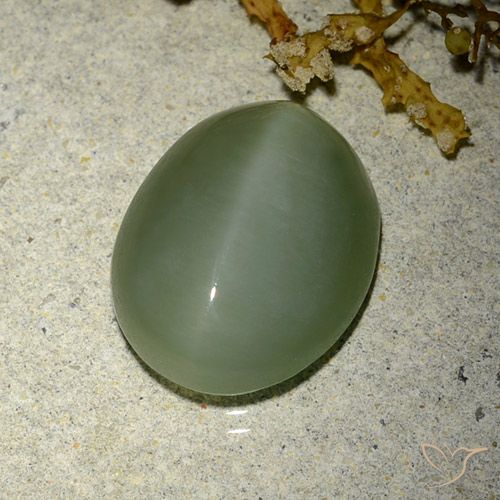6.77ct Natürlicher Mittel-Hellgrün Aktinolith Katzenauge, Oval, Lichtdurchlässig