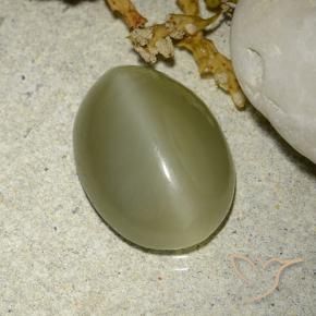 9,17 ctw natürlicher gelblich-grün Aktinolith Katzenauge, Oval, Lichtdurchlässig