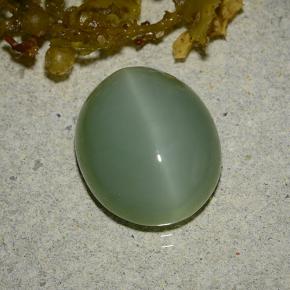 6,19 ctw natürlicher grüner Katzenauge-Aktinolith, Oval Schliff, Lichtdurchlässig