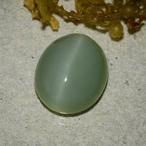 6,19 ctw natürlicher grüner Katzenauge-Aktinolith, Oval Schliff, Lichtdurchlässig
