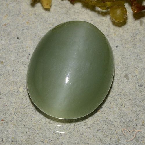 6.83ct Natürlicher Warmes Grün Aktinolith Katzenauge, Oval, Lichtdurchlässig