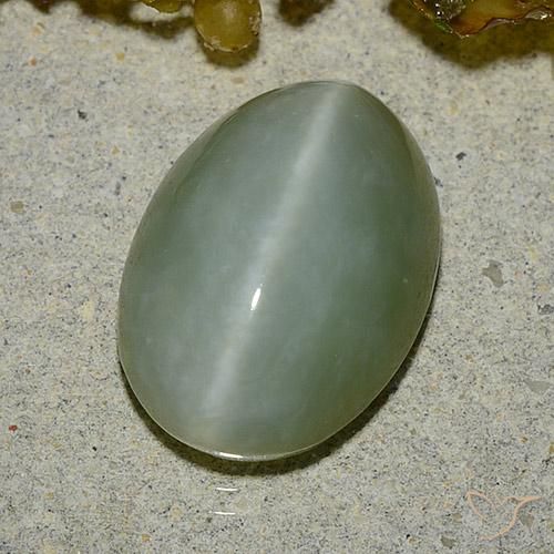 5.92ct Natürlicher Helles Moosgrün Aktinolith Katzenauge, Oval, Lichtdurchlässig