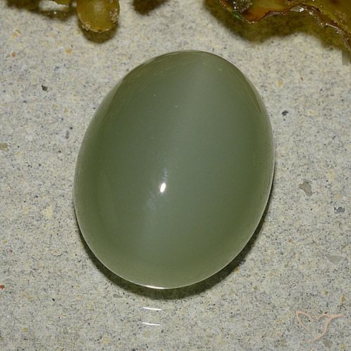 6.92ct Natürlicher Armeegrün Aktinolith Katzenauge, Oval, Lichtdurchlässig