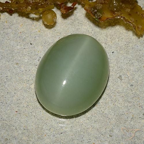 6.46ct Natürlicher Erdiges Grün Aktinolith Katzenauge, Oval, Lichtdurchlässig