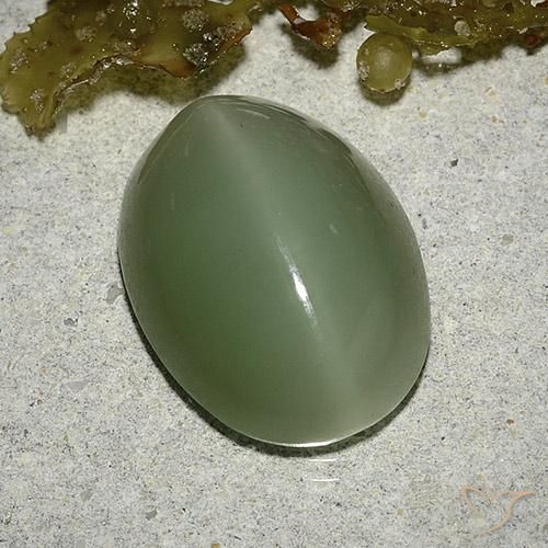 8,04 ctw natürlicher grüner Actinolite Cat's Eye, Oval Schliff, Lichtdurchlässig
