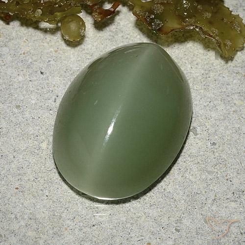 8,04 ctw natürlicher grüner Actinolite Cat's Eye, Oval Schliff, Lichtdurchlässig