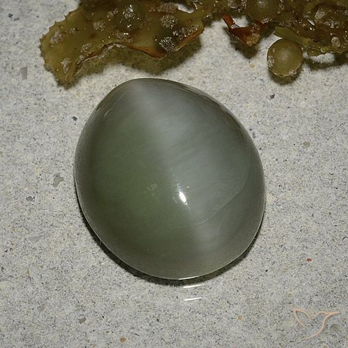 6.78ct Natürlicher Mittelgrün Aktinolith Katzenauge, Oval, Lichtdurchlässig