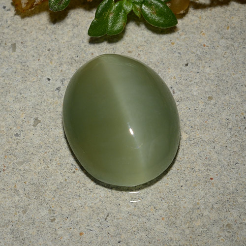 5,33 ctw natürlicher grüner Actinolite Cat's Eye, Oval Schliff, Lichtdurchlässig