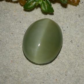 5,33 ctw natürlicher grüner Actinolite Cat's Eye, Oval Schliff, Lichtdurchlässig
