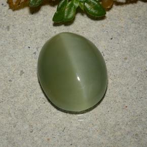 5,33 ctw natürlicher grüner Actinolite Cat's Eye, Oval Schliff, Lichtdurchlässig