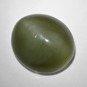 9,44 ctw natürlicher grüner Actinolite Cat's Eye, Oval Schliff, Lichtdurchlässig