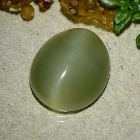 9,08 ctw natürlicher grüner Actinolite Cat's Eye, Oval Schliff, Lichtdurchlässig