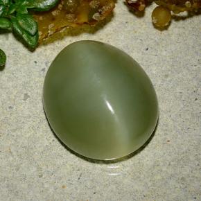 9,08 ctw natürlicher grüner Actinolite Cat's Eye, Oval Schliff, Lichtdurchlässig